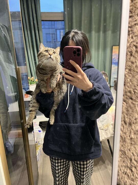 大福最不会反抗的一种抱法