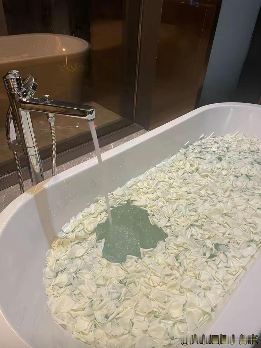 看完这个瞬间，彻底懂了红玫瑰在剧里的意义