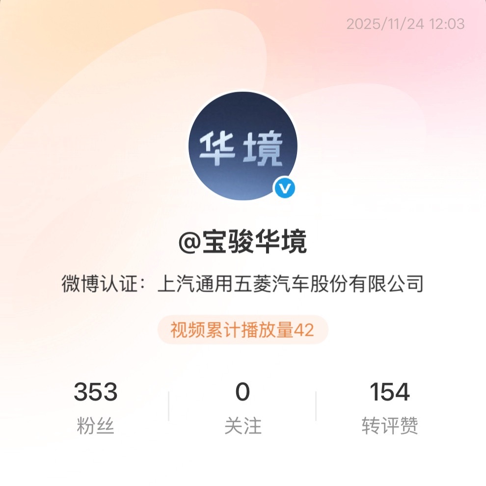 直接叫上汽华境比较合适，这么好的品牌名别糟践了，宝骏听起来有点蹭宝马的嫌疑。