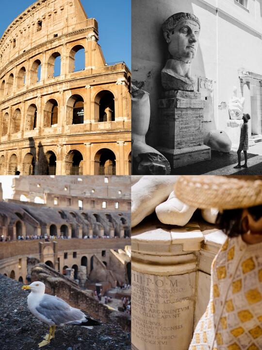 🌞这里的太阳 能把石头晒成金子！