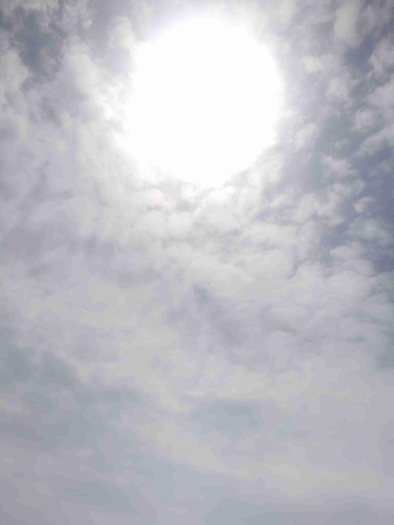 我的今日状态：😎自信酷炫
我这里的天气：☀️晴天

阴雨绵绵的日子，终于拨云见