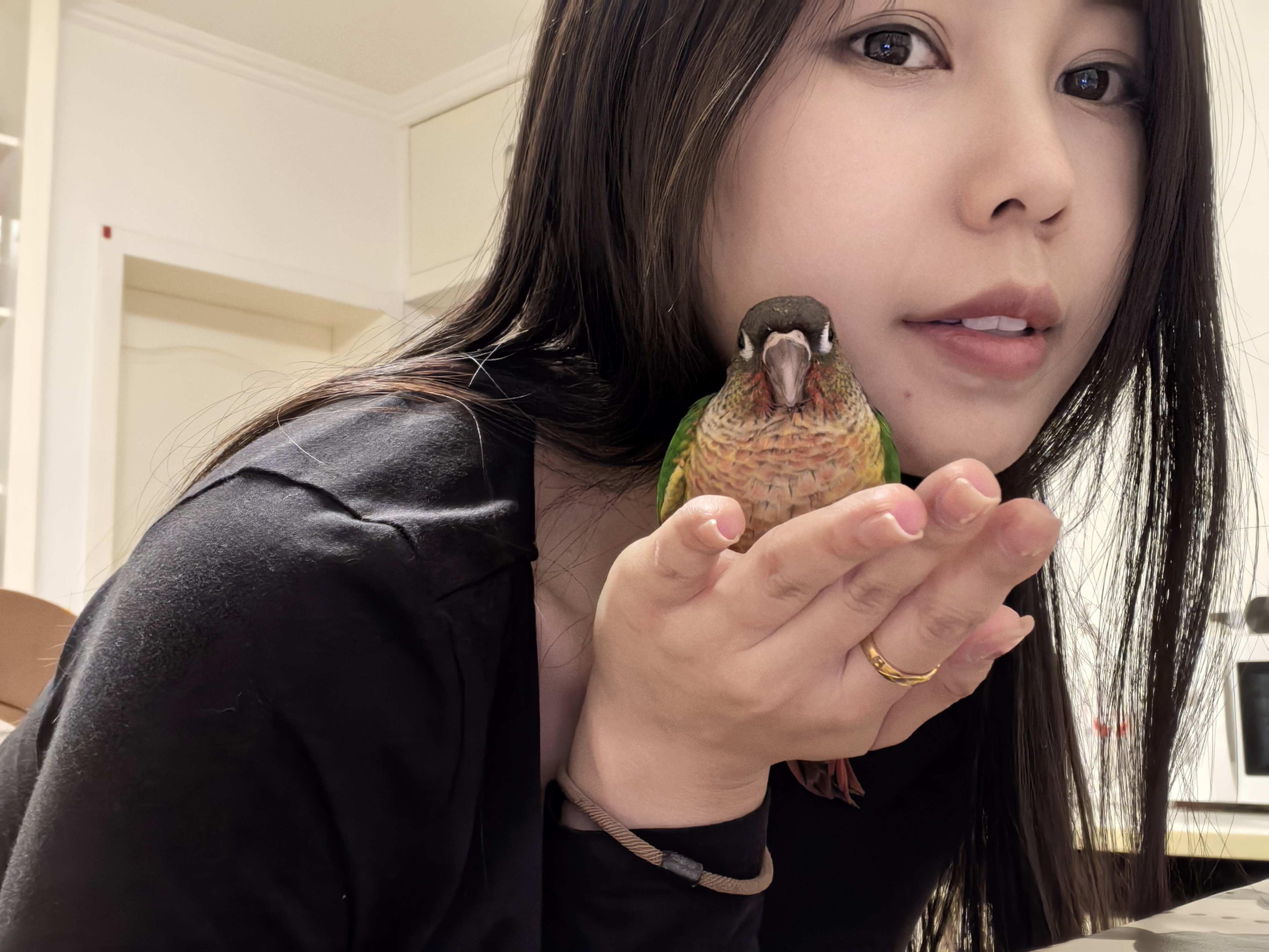 小弹簧闪现
