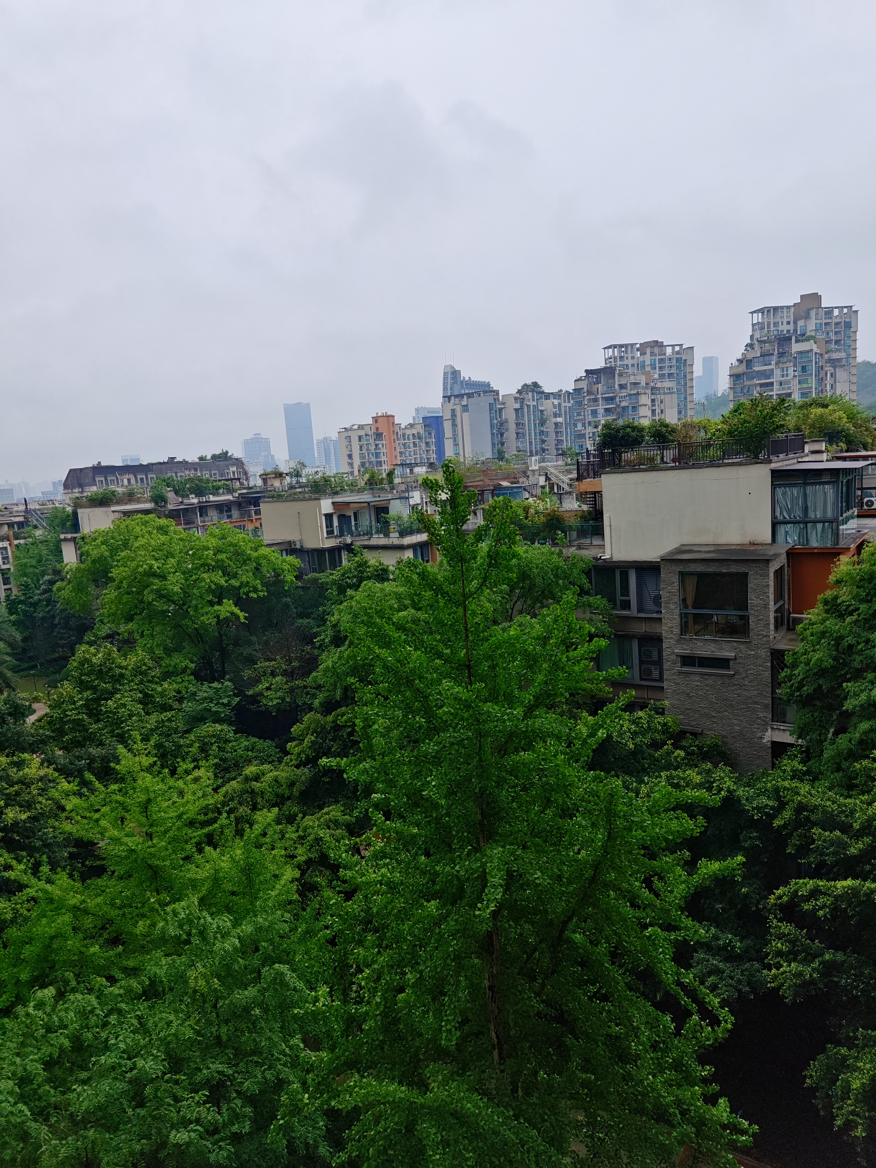 忙忙碌碌的一天天，突然发现小区的🌳，长得郁郁葱葱了。原来，春来来了…前几天，我