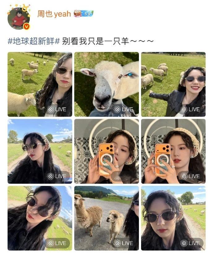 周也评论区唱别看我只是一只羊周也林一什么时候上音乐节 一人一句喜羊羊，这俩人的默