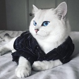 软萌萌侃侃影视剧