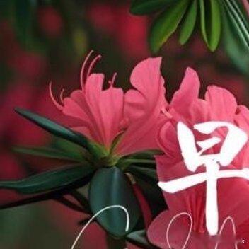 ʚ🧸ྀིɞ 。 ྀི 🍓ིྀ—早安心灵的伞不仅要能撑起保护，更要能在适当的时