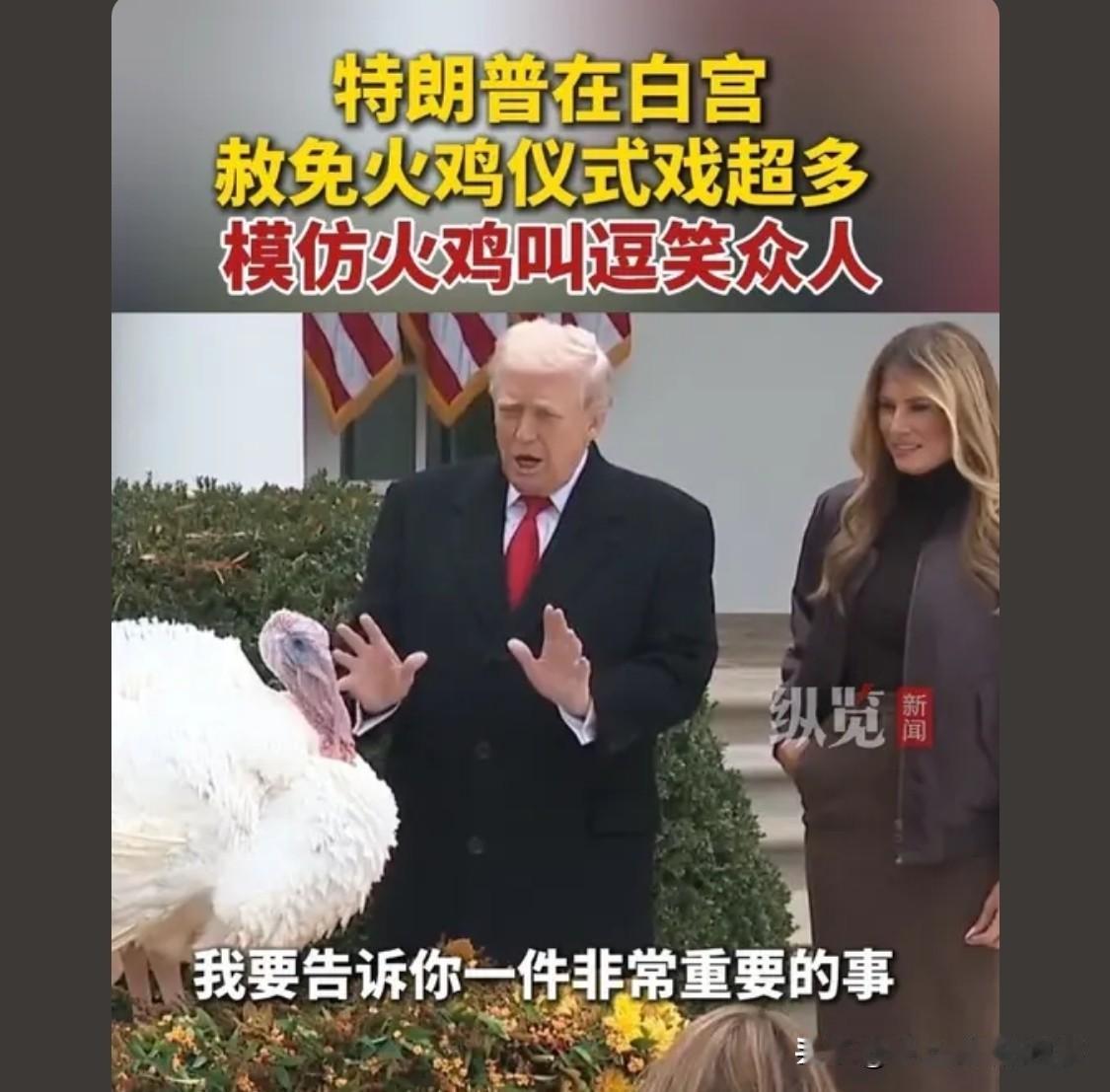 以前学英语动不动就接触到火鸡，感觉很出名很好吃的样子

 我有大乘佛法三藏
能超