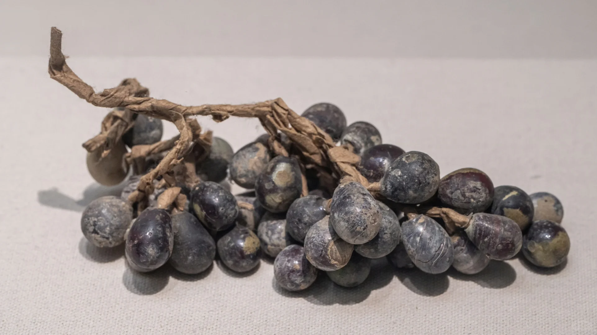 这竟然是宋代的葡萄！！！