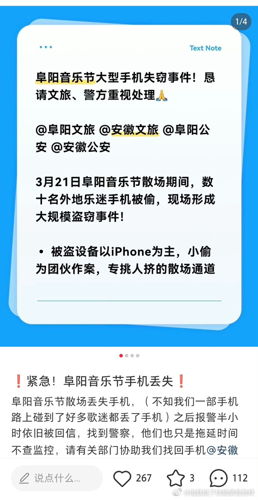 这年头偷手机已经很少见了吧，音乐节这种人多的地方，还是要小心啊