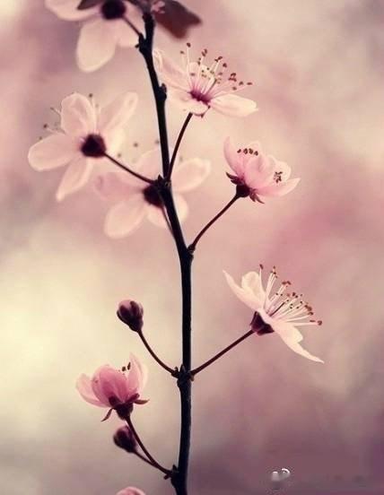 日常迷信，九月头一天，转走它，一切顺利！节节高升！ ​​​​[心] ​​​