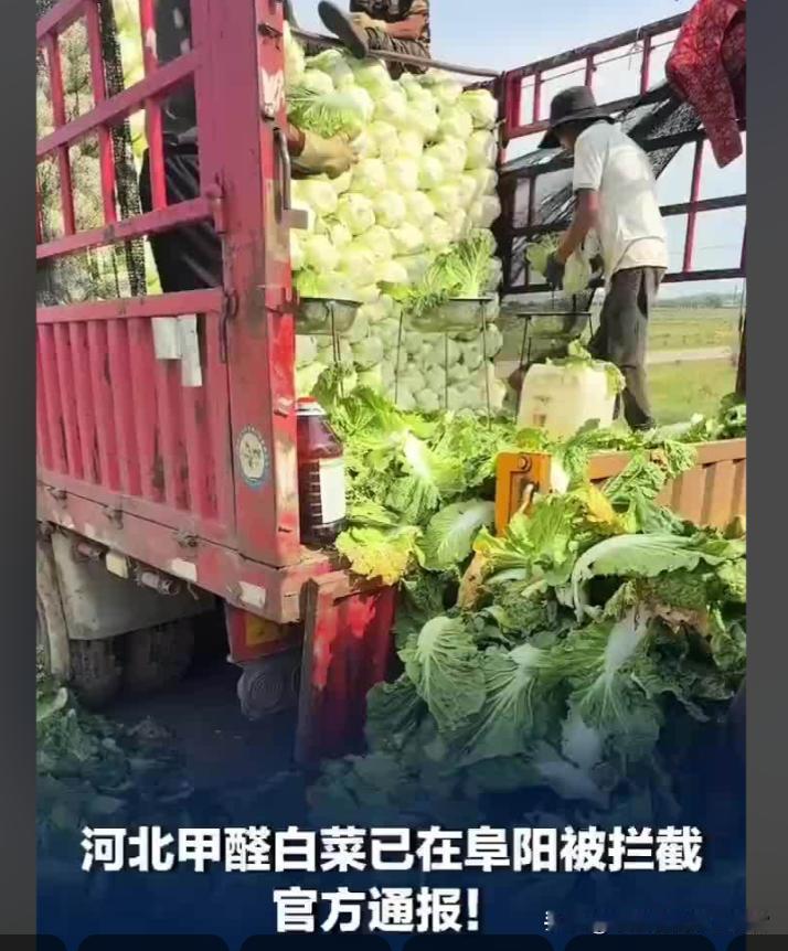 【甲醛白菜丧尽天良！食品问题必须提高处罚等级】

这次的甲醛白菜事件让人触目惊心