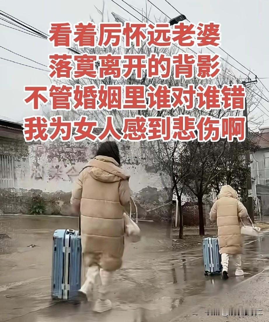 终于弄明白了，原来林丽一直在和厉怀远谈离婚的事，而矛盾点就在于财产分割问题。
今