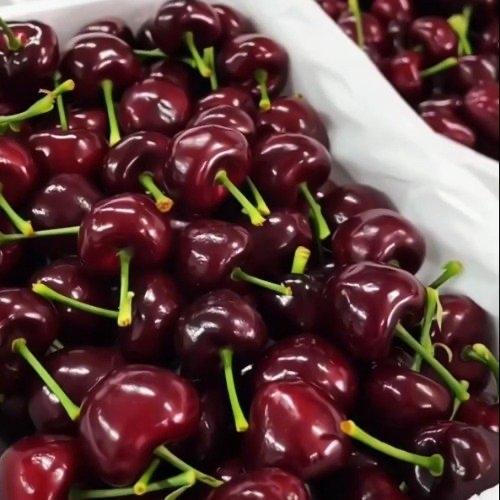 山姆车厘子30天狂降100元🍒