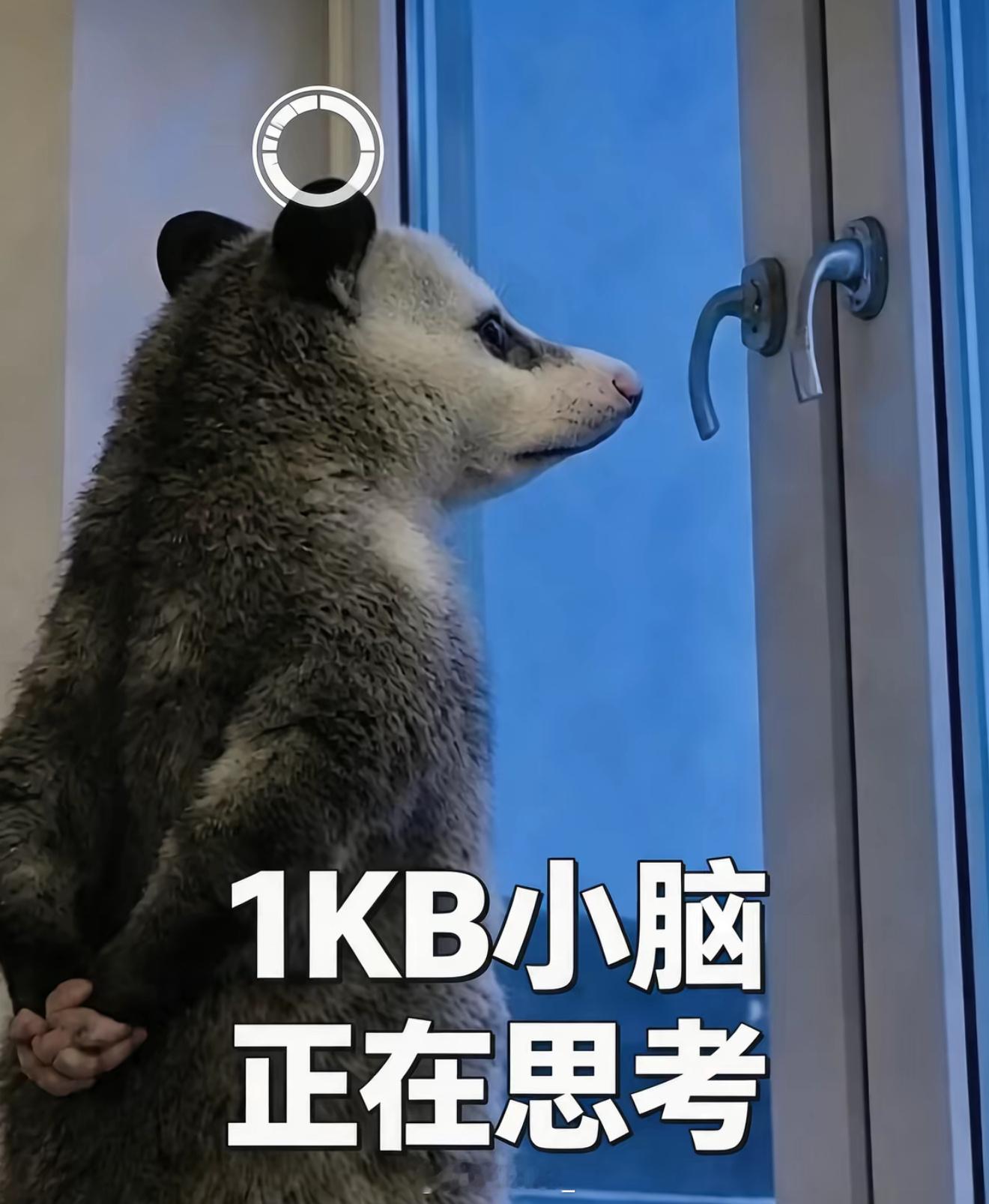 一直关注了一个占星博主其实我真的单纯看他挺顺眼 从他没什么粉丝开始对于占星他好像