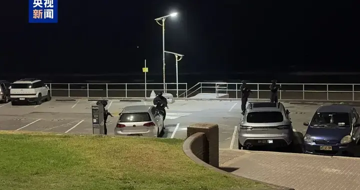 悉尼枪击事件已致12人死亡！我总领馆紧急提醒