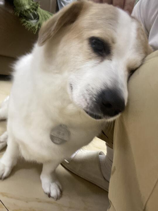 特长：撒娇