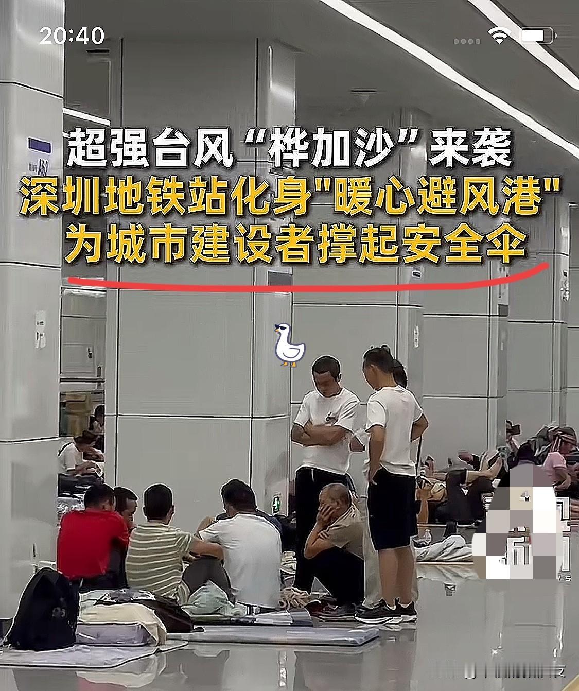深圳这波操作太“迷”了？
台风没来前，路边树砍得只剩枝干，
超市零食被抢空到货架
