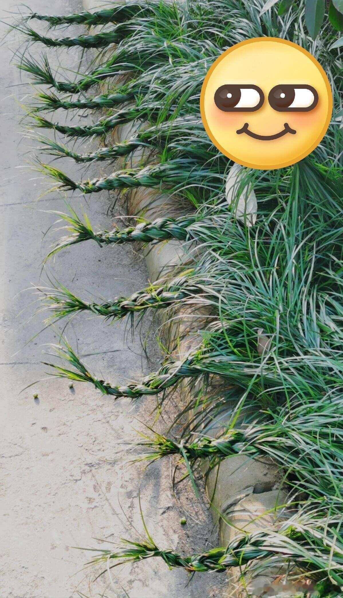 哈哈哈，这谁干的😂下班路上看到的好有意思啊。 