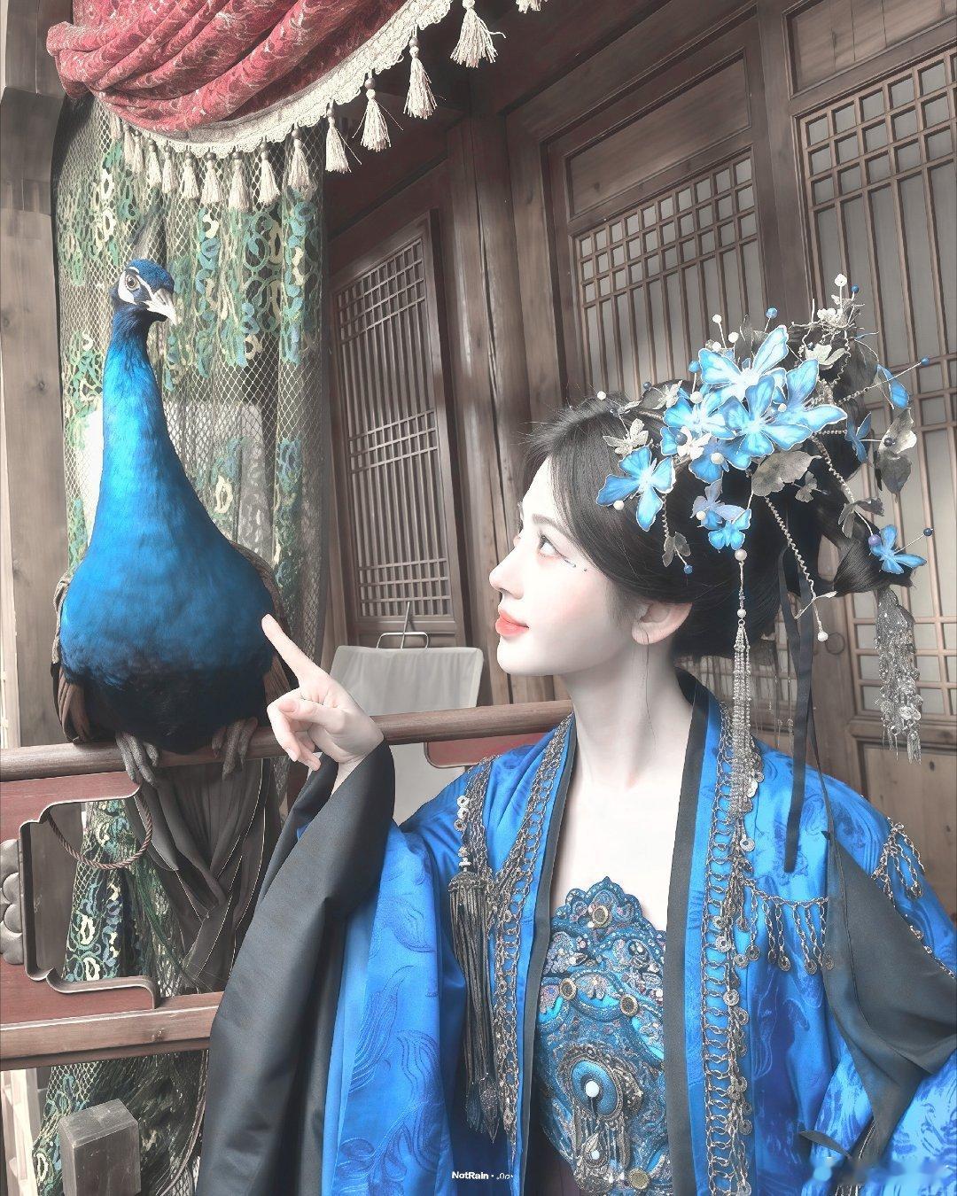 鞠婧祎  jjy鞠婧祎花间令 jjy鞠婧祎杨采薇“在某个不知名的角落许你岁岁平安