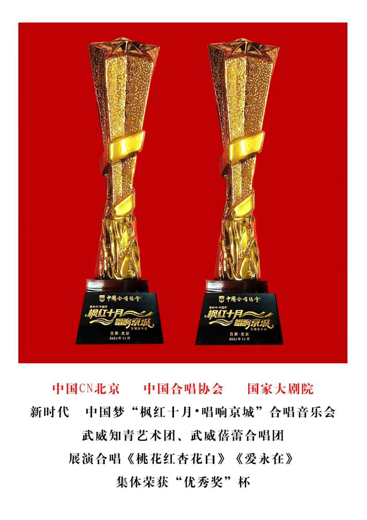 武威知青艺术团获奖了！