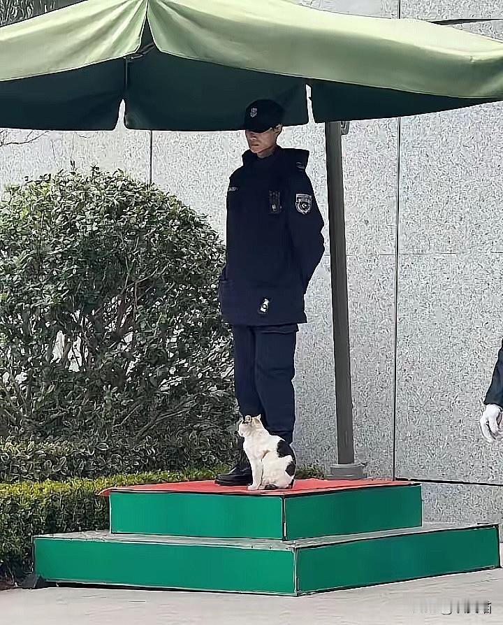 我特别欣赏邻居家的儿子，普通二本毕业，投过上百份简历全没回音，他没躺平、没抱怨、