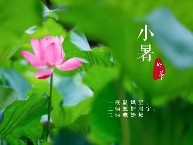 上联：花有相思叶有愁
下联：山无寂寞水无忧