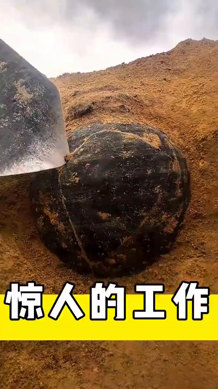 惊人的工作。
欢迎观看蜗牛设计。