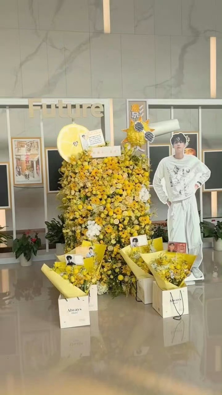 田栩宁出道四周年 粉丝送了花墙 