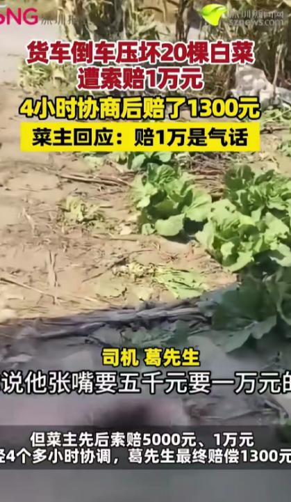 货车倒车不小心压坏 20 棵白菜，谁料索赔金额一路暴涨！葛先生驾驶货车在菜地旁倒