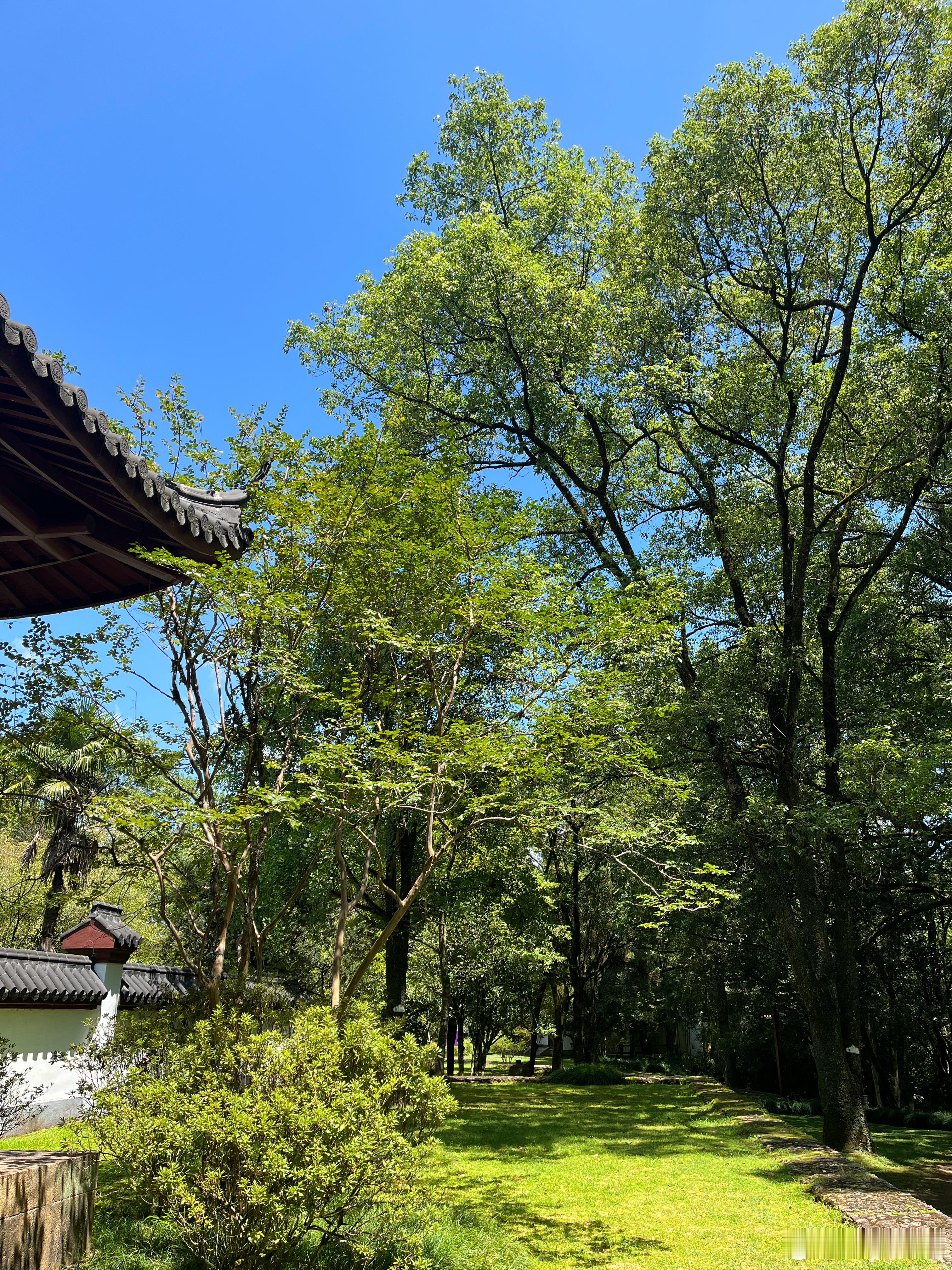 一同事经常吐槽老公， 说哪哪都不好。然后，今天问我们，昨晚她们没做避孕措施， 是
