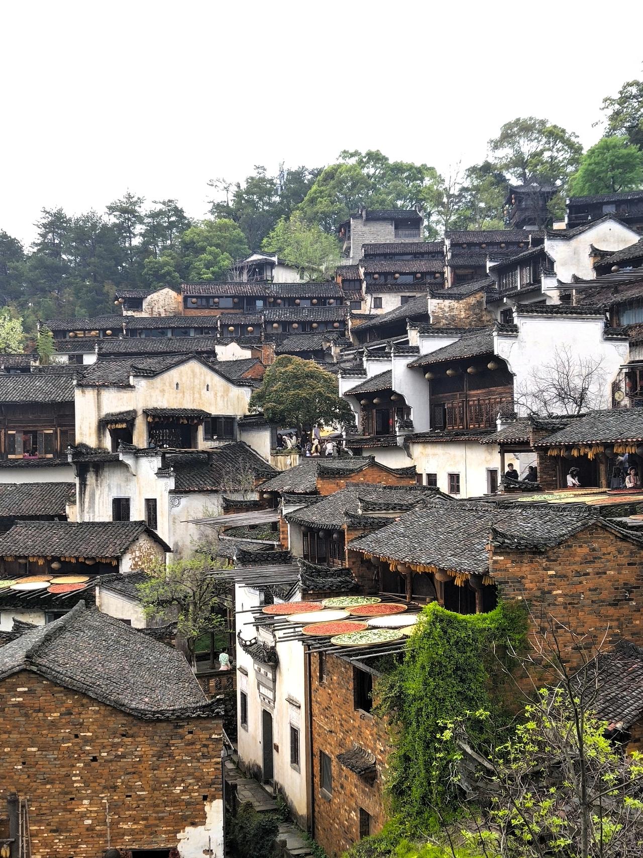 去婺源篁岭，油菜花只是为此次行程增色，真正的核心景点，是建于明朝中叶的篁岭古村，