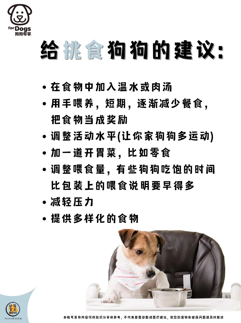 给挑食狗狗的建议