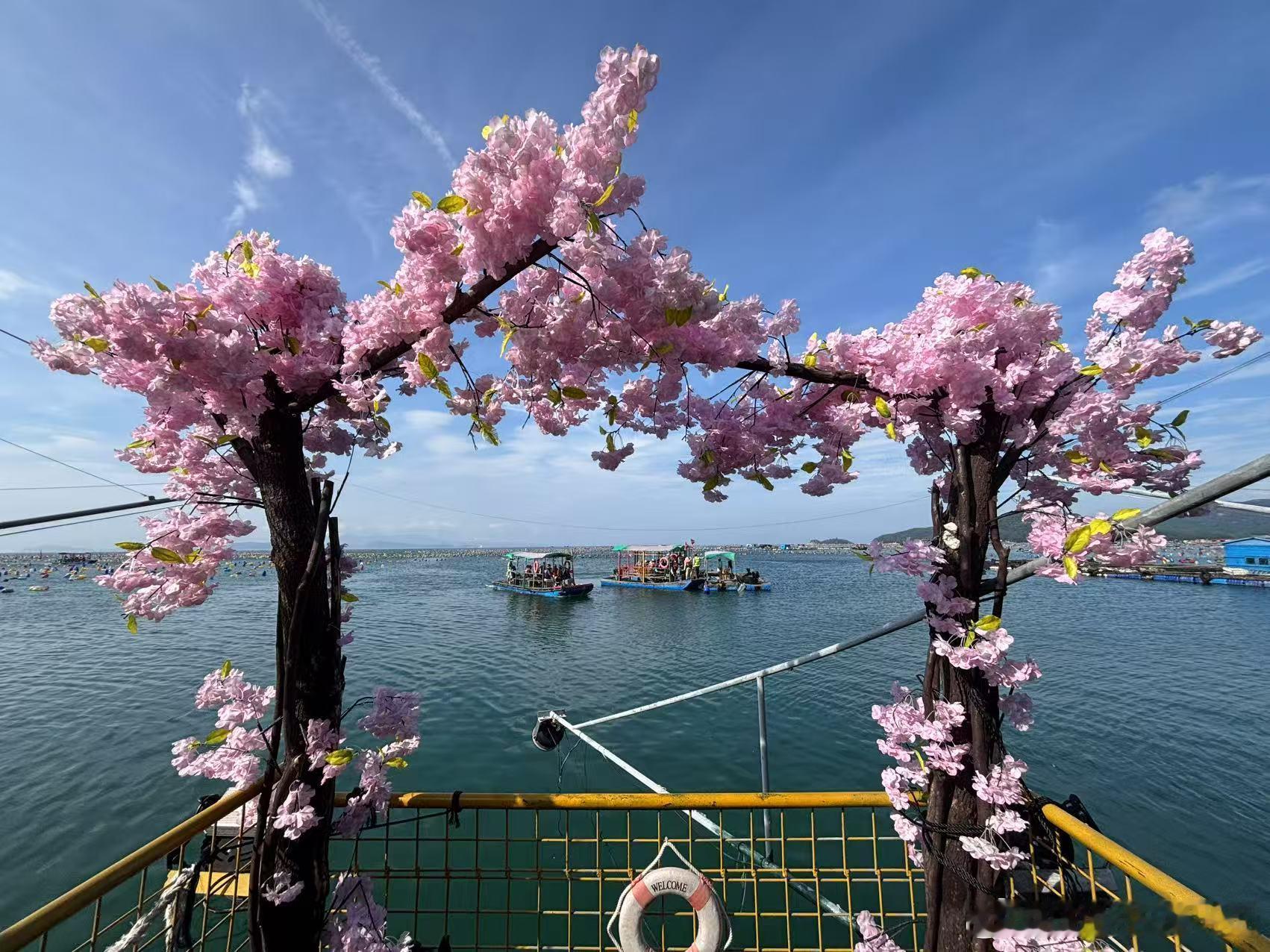 猪先生去旅游了给我发了几张图片就当我也去了麦兜兜响当当