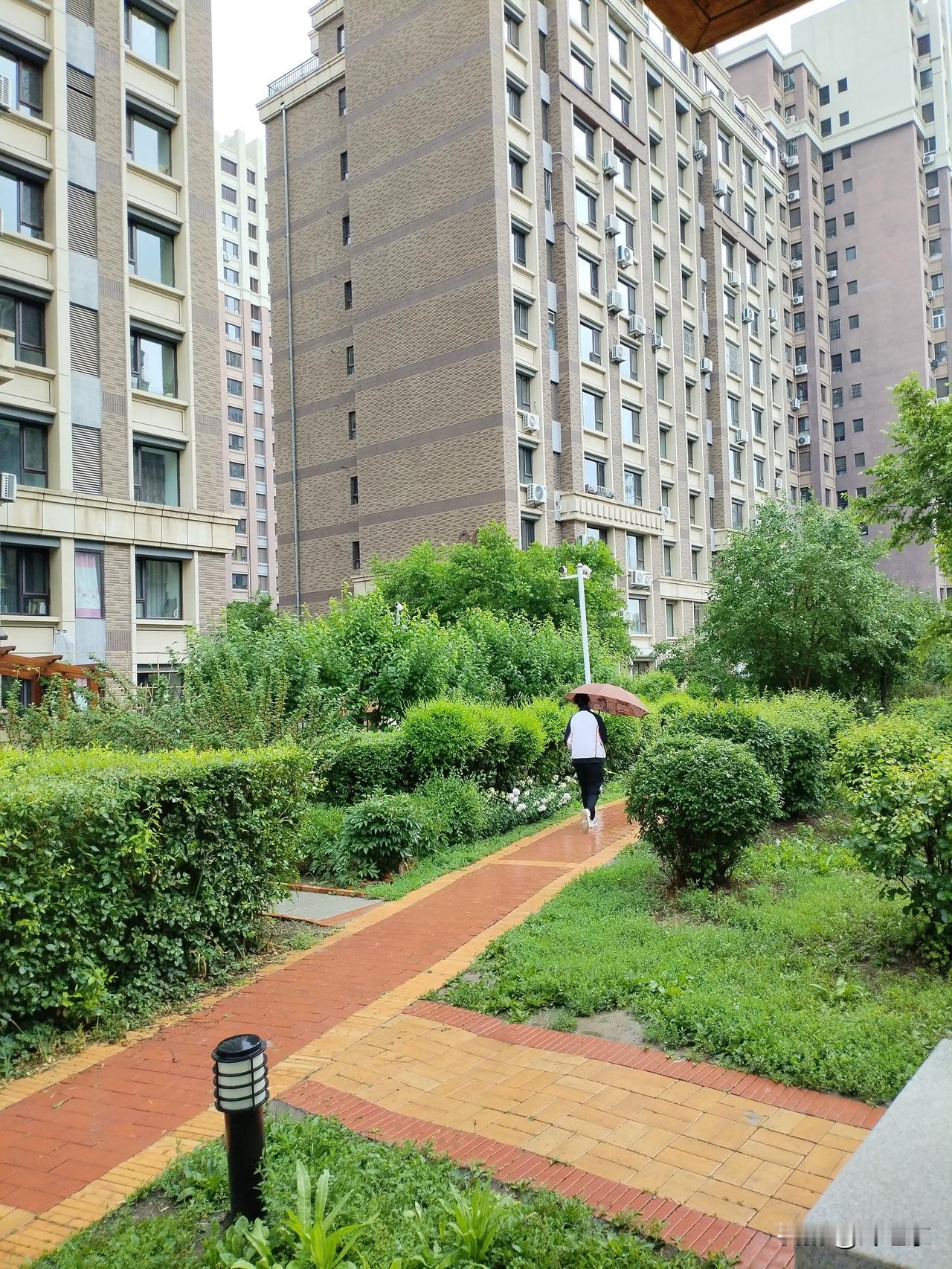 踏雨行
骤雨倾盆洗画庭，
涟漪乍起如浪行。‌
‌闲撑伞盖从容步，
请续句……
（