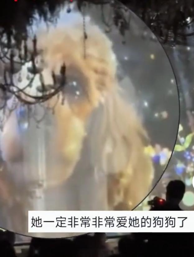 跨越离别太好哭！AI让离世狗狗奔赴婚礼，化身巨型钻戒
一场婚礼的暖心瞬间戳中无数