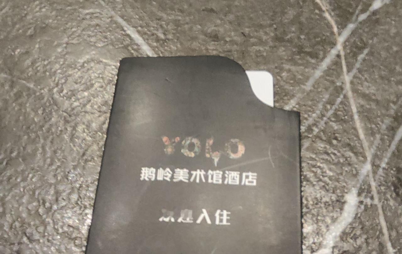 住进重庆鹅岭的艺术里，解锁山城小众玩法
 
今天来了重庆，终于住进鹅岭美术馆旁的