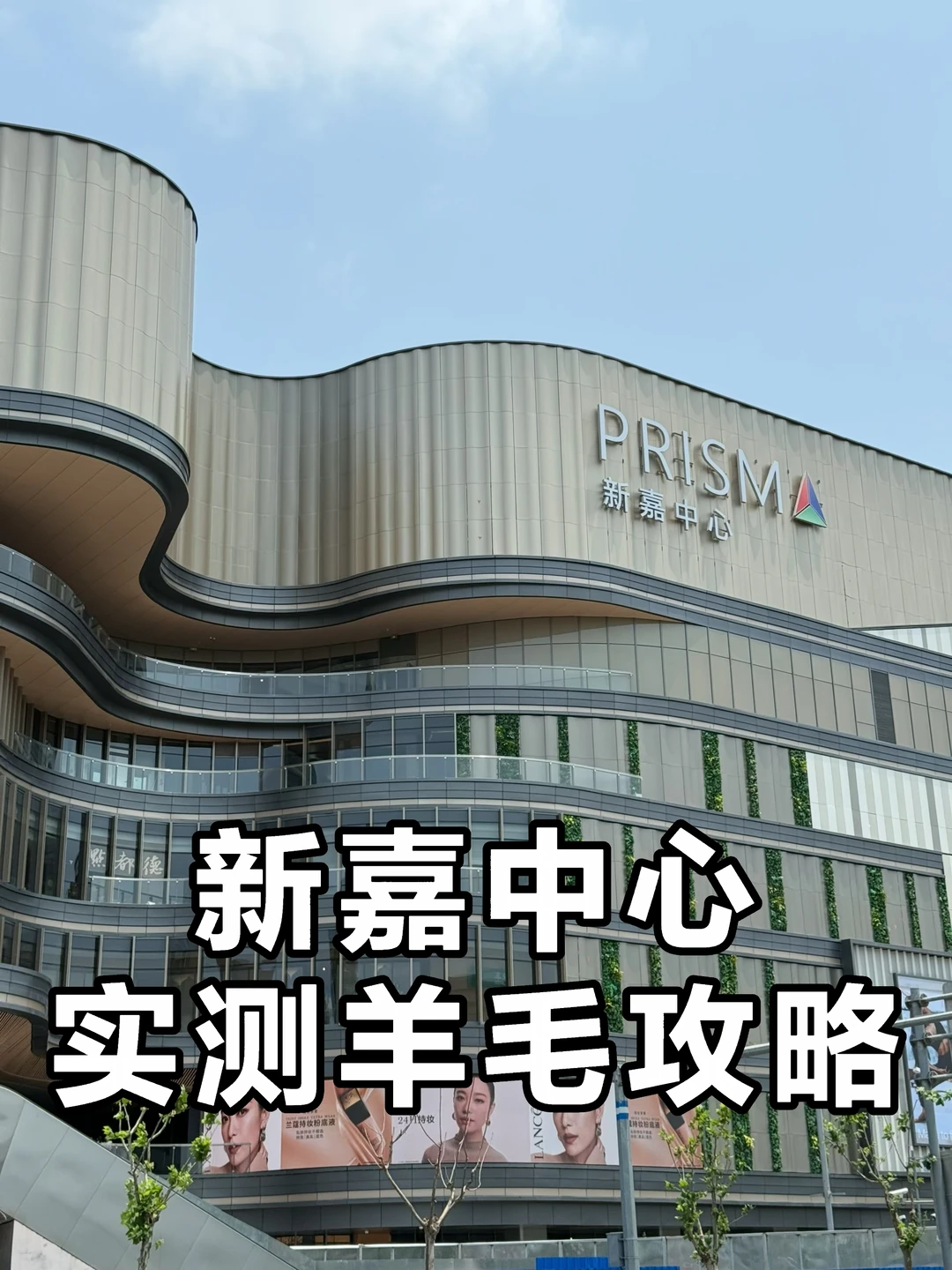 新嘉中心太爆了！实探超全薅羊毛来了！码住