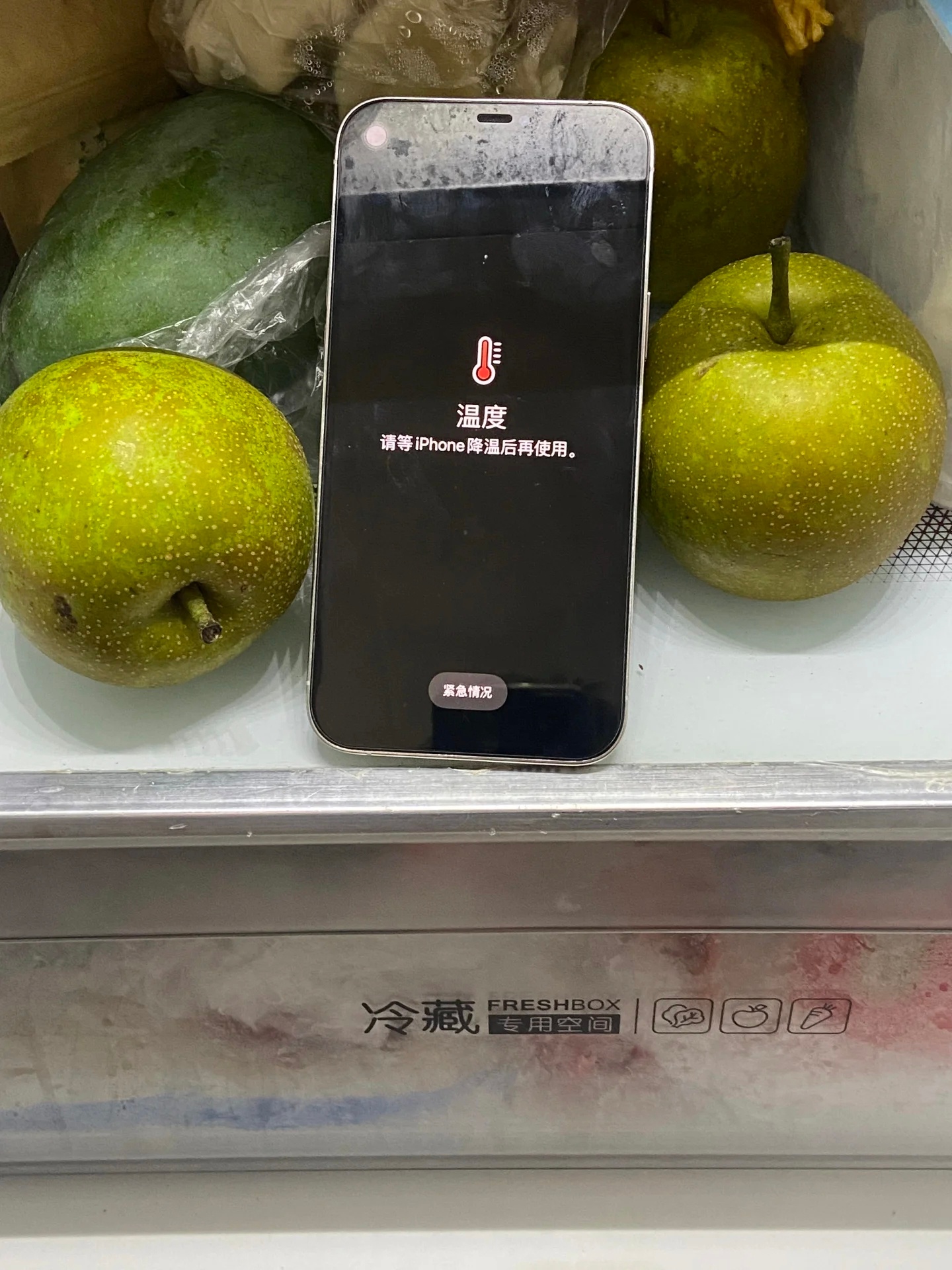 手机烫手 夏天了，管你苹果安卓一样发烫，还不如整个物理降温[doge] ​​​