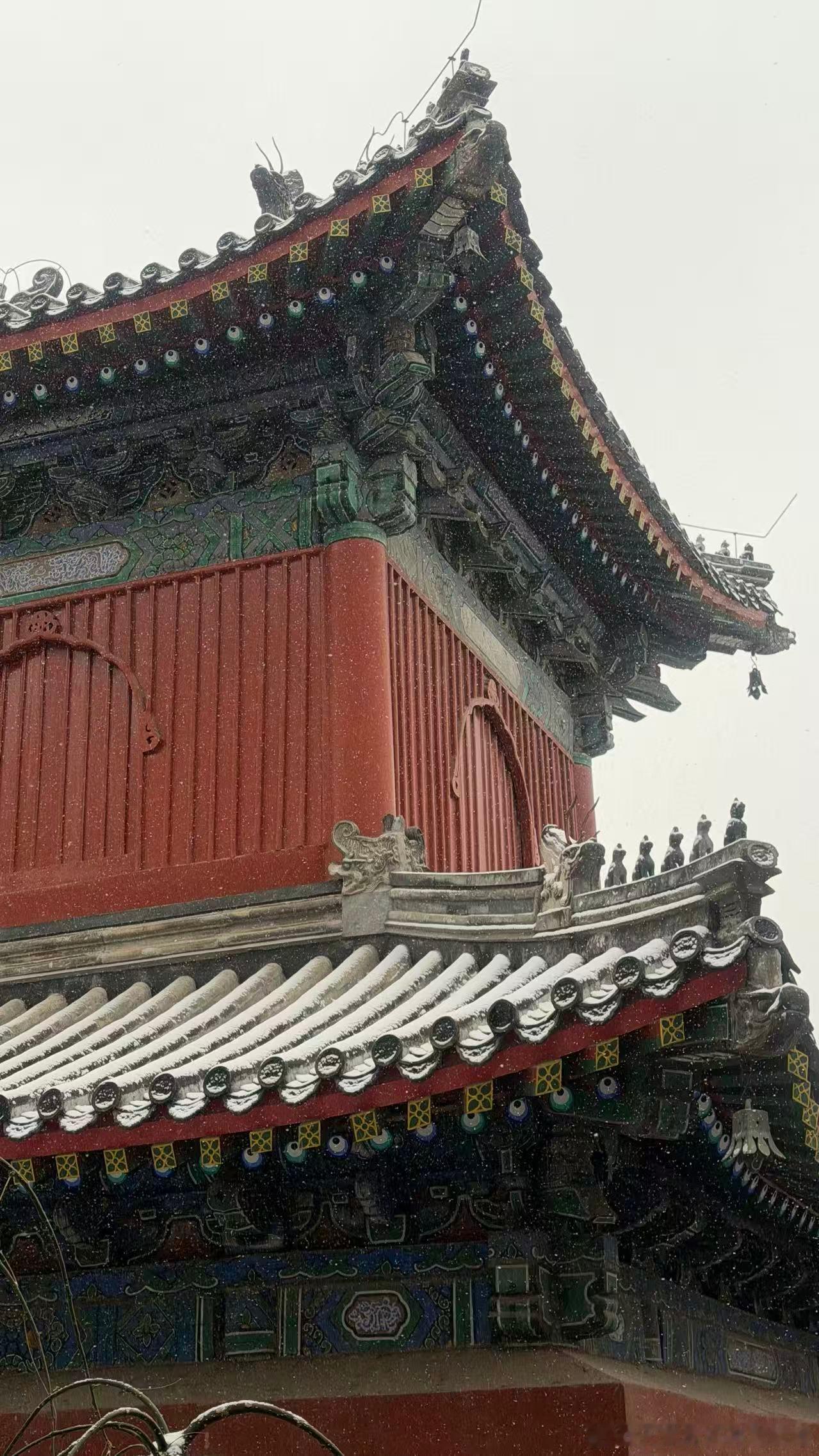 雪后初霁 ，多美好 