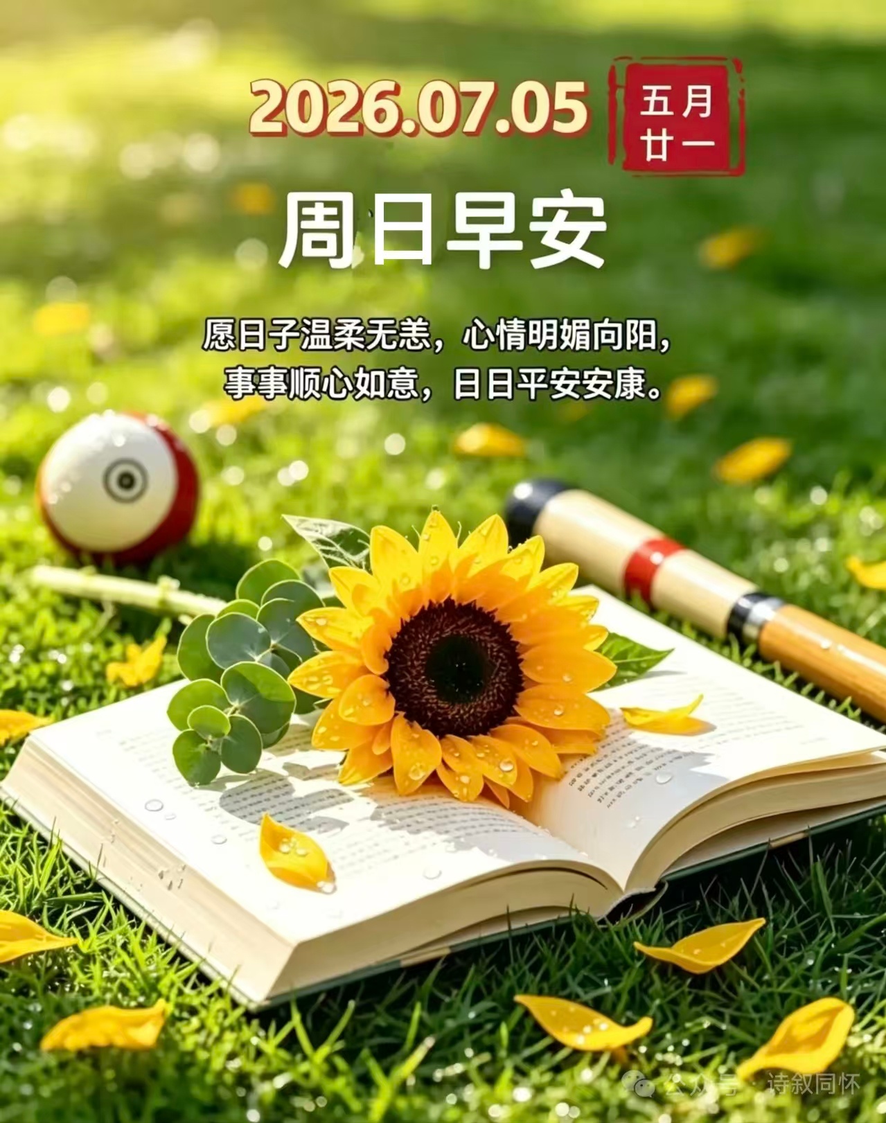 🌞໑ຼ₀໑ຼ6.7.5.五月廿一🌼💐在盛夏干净澄澈的清晨，怀揣温柔与赤诚，