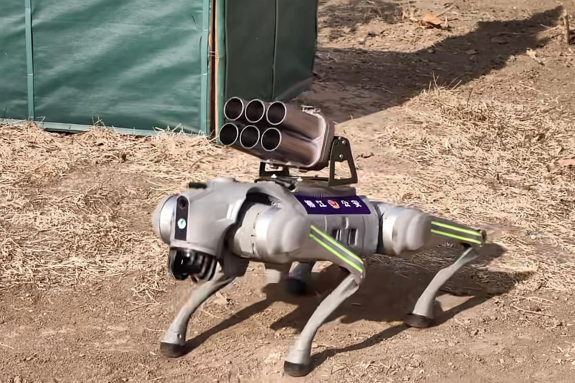 只要想玩，能搓上的都可以整。现在一些民企也开始向军警单位推销这些所谓的无人作战系