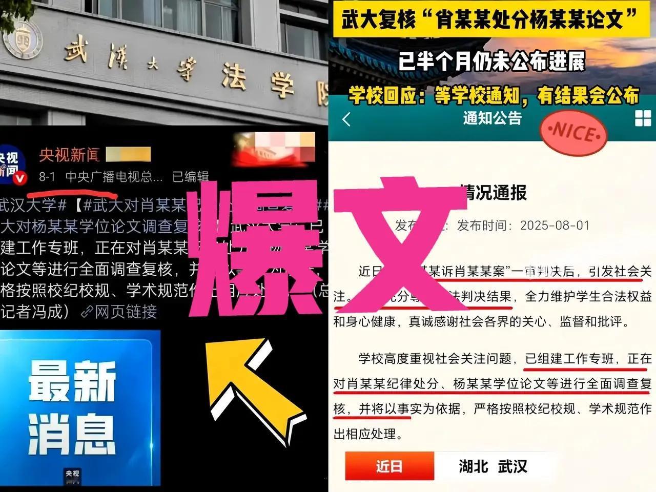 大家都错了，
武大要死保的不是杨某媛，
也不是自身的面子，而是他们那套陈旧又荒唐