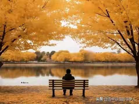 人活到五十岁，像是走到了人生的中转站，身边的人声渐渐淡了：孩子成家立业搬去了远方