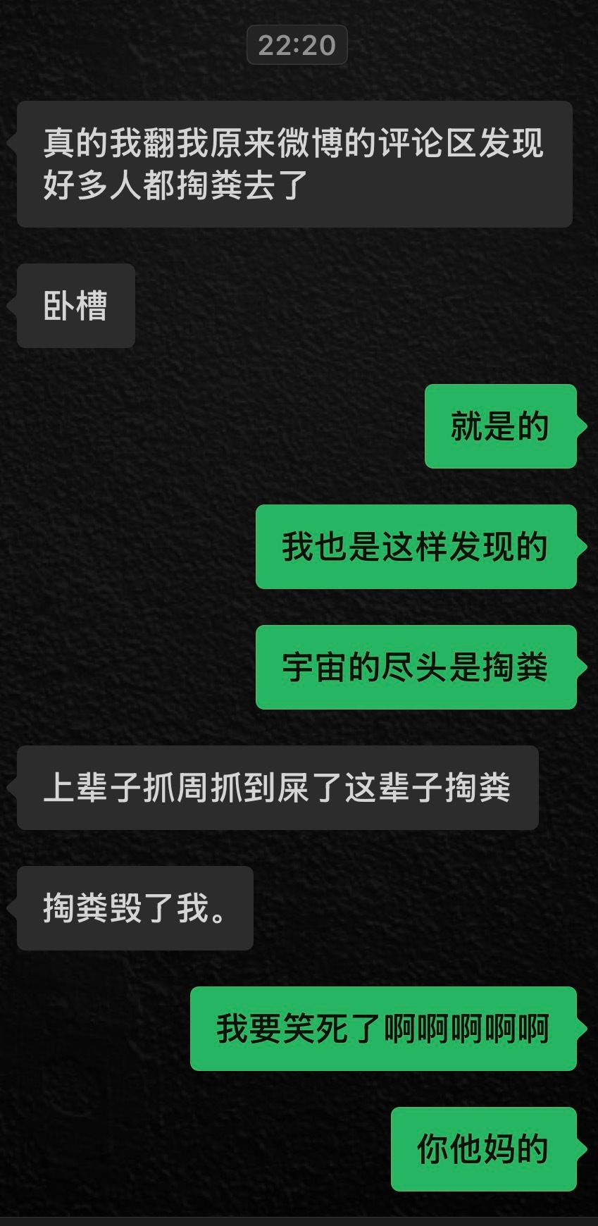 宇宙的尽头是掏粪 