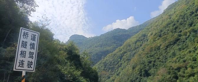 张信哲10月20号来咱们汉中开唱了，这几天满城都是宣传，走到哪儿都能看到广告。当