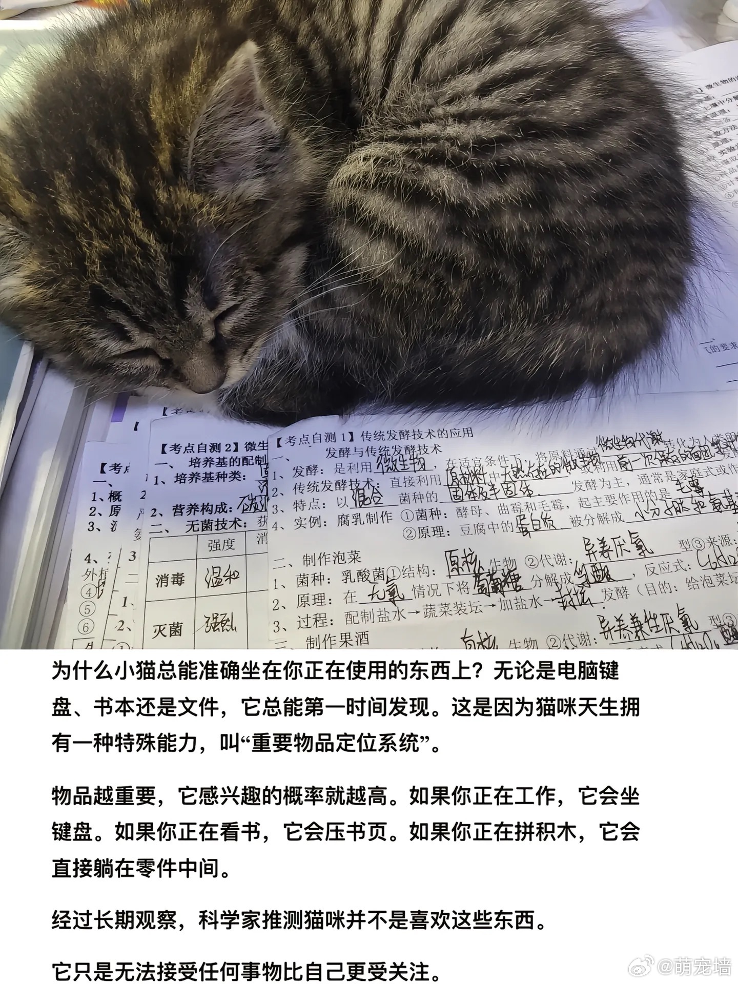 这也太萌了吧 