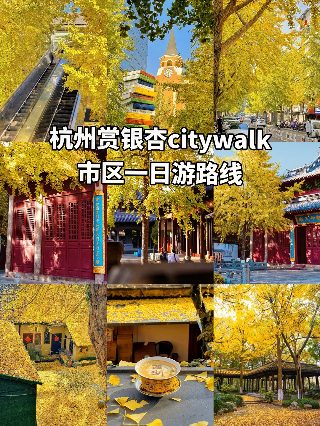 杭州市区赏银杏Citywalk一日游！（附路线图）