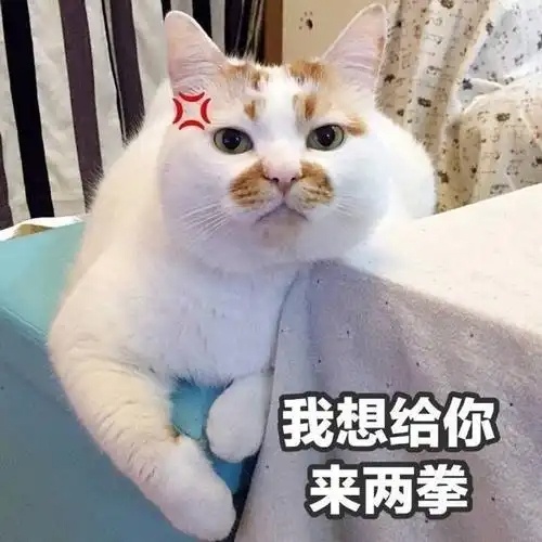 影子曾合作多位打假人卖劣质扫描仪  松哥打虎删除和影子自导自演偷拍视频 他不过就