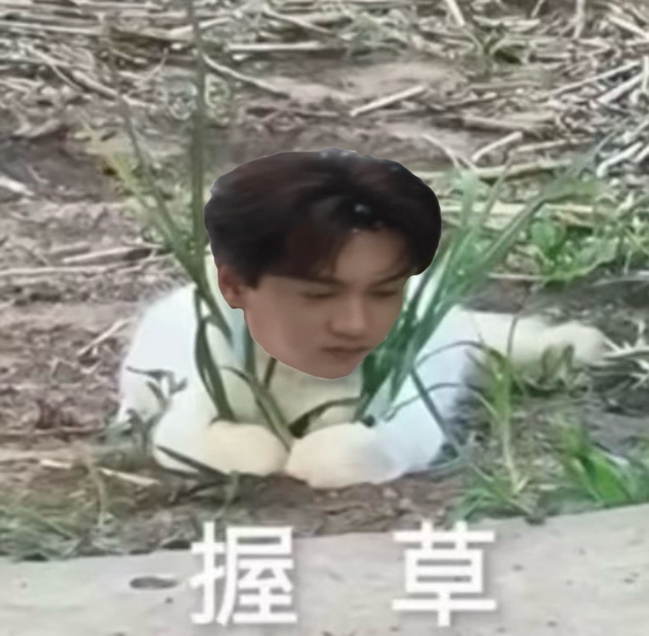 谁发明的厕所感应冲水总是在不经意的时候给人一击到底是谁发明的