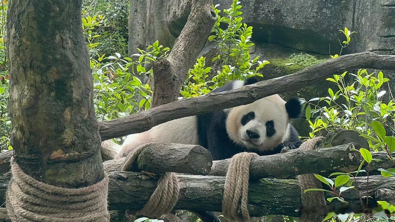 ❤️​婚姻是一场修行，婚姻是两个人因果业力的牵引，以婚姻的方式提供彼此修行成长的